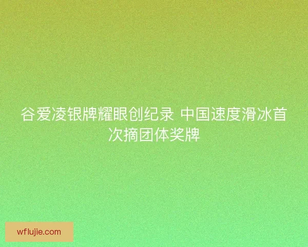 谷爱凌银牌耀眼创纪录 中国速度滑冰首次摘团体奖牌